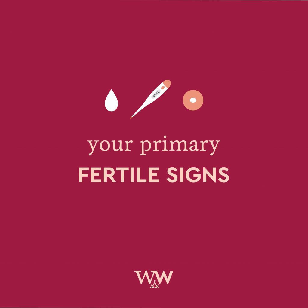 fertile signs